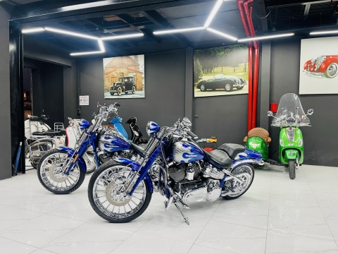 Springer cvo độ full